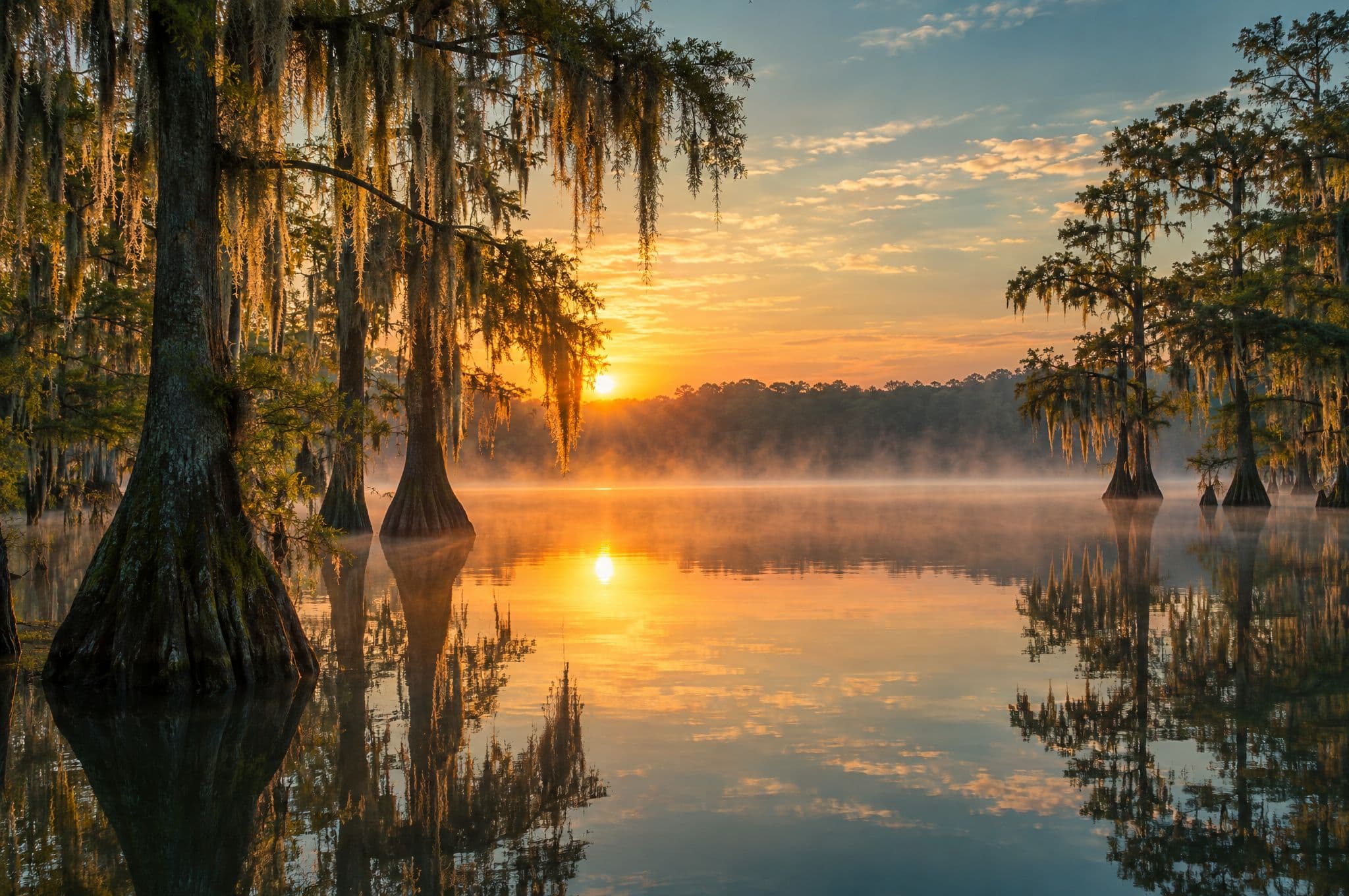 Cypress trees and Spanish moss around a calm Florida lake at sunrise